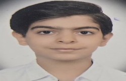 امیرمهدی فرهنگ لو