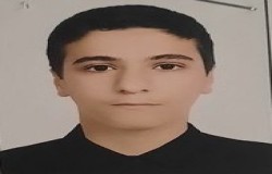 محمدحسین کسراپی مغانلو