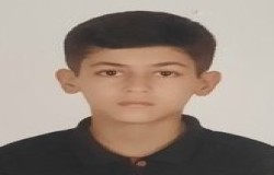 سید طه طباطبایی
