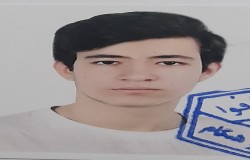 امیررضا صفری