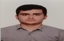 امیرعلی ولی پور