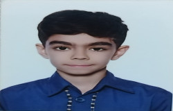 مهیاد اقاعموئی