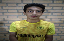 شایان طالبی ورزنه