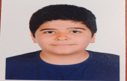 محمد مهدی فیض آبادی