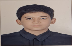 امیرحسین برهون