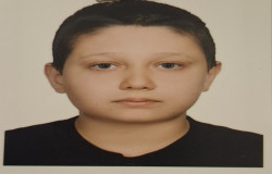 سید امیرحسین گلستانه