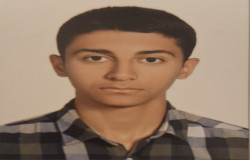 پارسا ذبیحی طاری