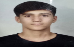 سید امیرمحمد صفوی