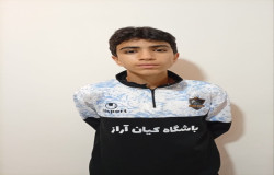 امیر حسام حسنلو