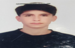 محمدرضا بیات