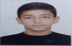 نیکان آقا محمدی