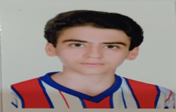 امیر غلامی