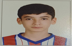 محمدرضا ضیا