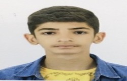 آرتین سلیمانزاد ربطی