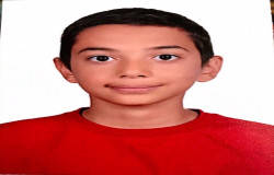 میکائیل جماشی