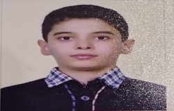 آرتین حنانی فر