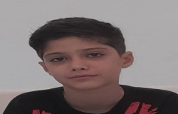 ایلیا سلیمانی