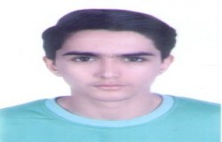 مصطفی شیخی