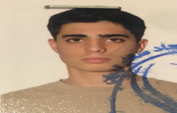 آرین طهماسبی