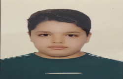 محسن چهاردولی