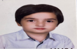 بردیا زمانی