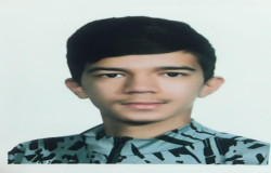 امیرعلی فارسی