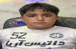 امیرمهدی بدری
