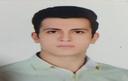 رضا ثمودی زیرکان