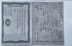ایلیا حسن لو