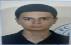 آروین رزم جو