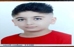 فرهام فاطمی