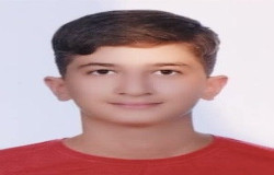 پارسا اللهوردی پیرنی