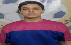 امیرمحمد توللی