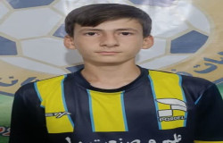 محمد حسین نوردار