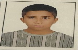 سید ایلیا مرتضوی