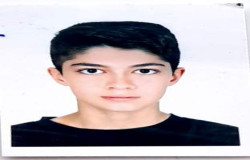محمد پارسا بهادری