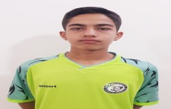 سیدمحمدمبین میرقیصری
