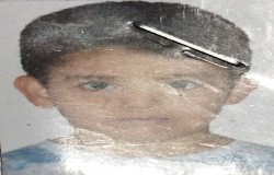 پارسا پرماسی