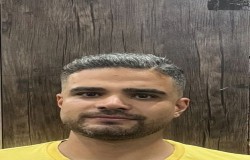 محمدرضا حسني