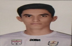 محمد جواد رضایی