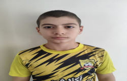 امیر رضا خان محمدی