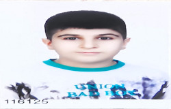 آرتین صالحی