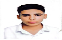 عرشیا نورعلی