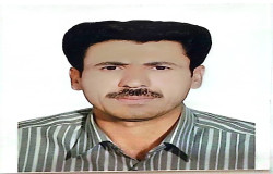 رضاعلی خانی