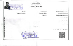 رادین نجاتی