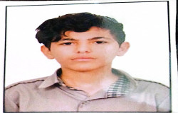 محمدامین مرادی