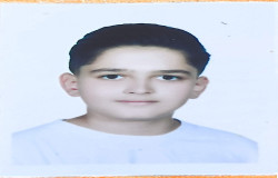 محمدپارسا مددی اسگستانی
