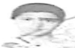 محمد حسین ملک جانی