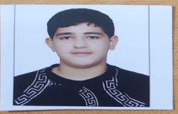 علیرضا بیات قلی لاله