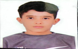 محمدرضا شمسی تقدس